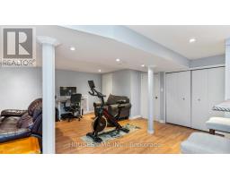 25 DOULTON STREET - 23