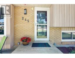 245 CHITTICK CRESCENT - 5