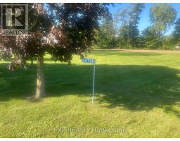 54196 EDEN LINE - 17