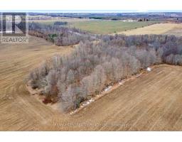81081 RIVER LINE - 20