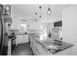 538 AMBLESIDE DRIVE - 12