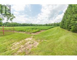 1514 LONGWOODS ROAD - 7