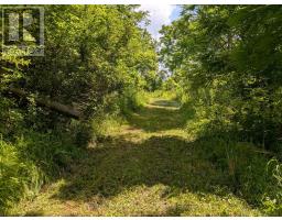 2102 CAMERON ROAD - 26