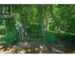 88 TALLWOOD CIRCLE - 37