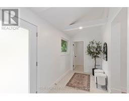 261 NELSON STREET - 13