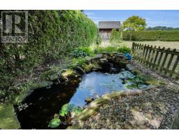 123 MICHELLE AVENUE - 14