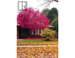 37 JENNIFER ROAD - 3