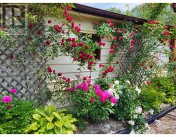 108 CECILIA PLACE - 48