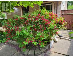108 CECILIA PLACE - 49