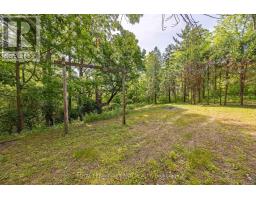 39339 BUSH LINE - 22
