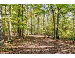 1726 4TH CONCESSION ROAD - 10