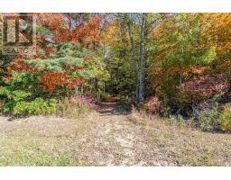 1726 4TH CONCESSION ROAD - 11