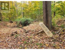 1726 4TH CONCESSION ROAD - 17