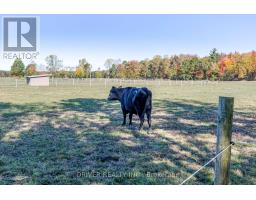 1726 4TH CONCESSION ROAD - 7