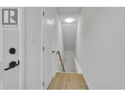 33 PURPLE BEECH TRAIL - 32