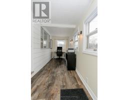 41 MARLENE STREET - 3
