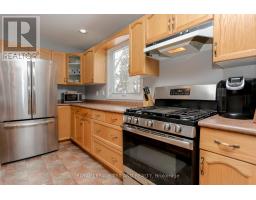 41 MARLENE STREET - 8