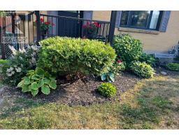 57 STEVENSON AVENUE - 4
