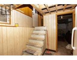 3 DALY AVENUE - 33