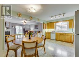 246 WHITE SANDS DRIVE - 20