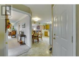 246 WHITE SANDS DRIVE - 7
