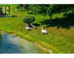 387 AUGUSTA CRESCENT - 35