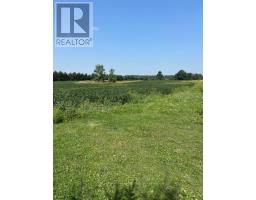 15552 ELGINFIELD ROAD - 5