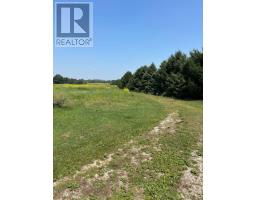 15552 ELGINFIELD ROAD - 7