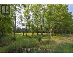 8101 DECKER DRIVE - 13