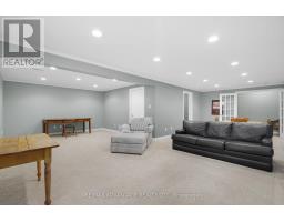 42 - 1502 WARBLER WOODS WALK - 31
