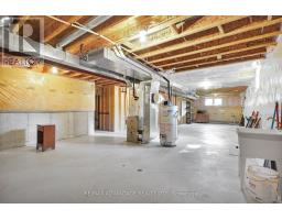 42 - 1502 WARBLER WOODS WALK - 34