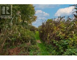 142 HUNT CLUB DRIVE - 46