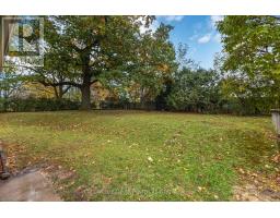 1219 ALBANY STREET - 29