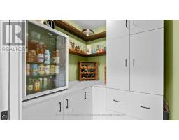 164 ELWORTHY AVENUE - 15