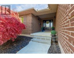 19 DAUGHERTY DRIVE - 4