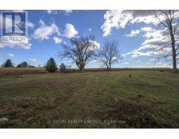 39349 FINGAL LINE - 42