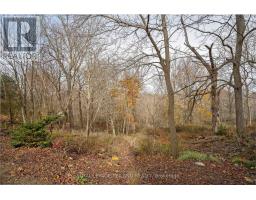 495 GEORGE STREET - 14