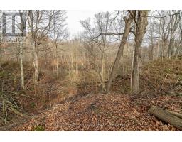 495 GEORGE STREET - 16