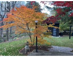 495 GEORGE STREET - 17