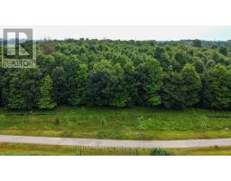 3998 BIG LEAF TRAIL - 50