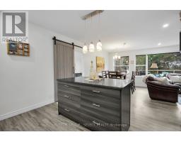 21069 RIVERVIEW DRIVE - 17