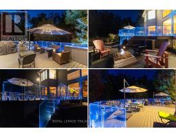 10016 THE TRAIL - 10