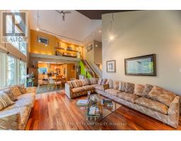 10016 THE TRAIL - 21