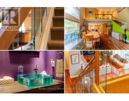 10016 THE TRAIL - 25