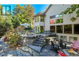 10016 THE TRAIL - 44