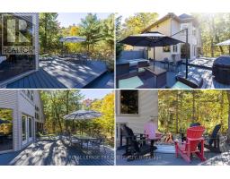 10016 THE TRAIL - 45