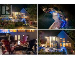 10016 THE TRAIL - 46