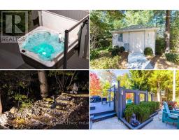 10016 THE TRAIL - 47