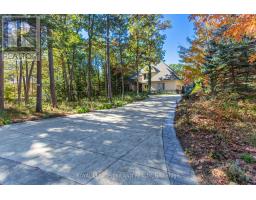 10016 THE TRAIL - 49