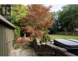 297 ALMA STREET - 37